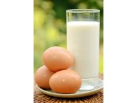 Dairy & Eggs